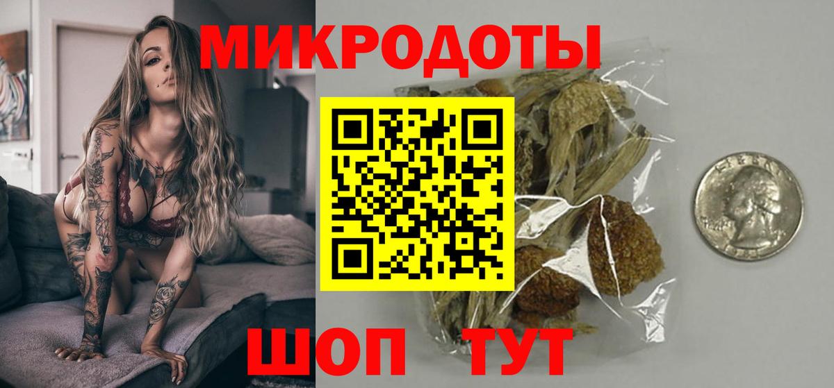 Псилоцибиновые грибы Cubensis Кировск